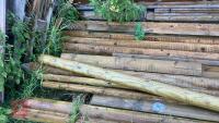 QTY OF TIMPER POSTS AND RAILS - 3