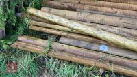QTY OF TIMPER POSTS AND RAILS - 6