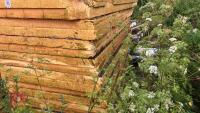 11 X 6'' 8' X 4' INSULATION BOARDS - 4