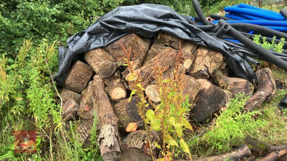 LRG PILE OF ASH FIREWOOD