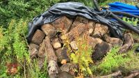 LRG PILE OF ASH FIREWOOD
