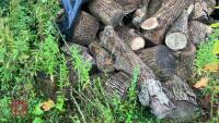 LRG PILE OF ASH FIREWOOD - 2