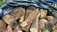 LRG PILE OF ASH FIREWOOD - 3