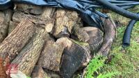 LRG PILE OF ASH FIREWOOD - 4