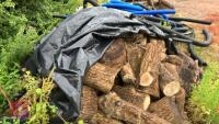 LRG PILE OF ASH FIREWOOD - 7