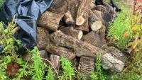 LRG PILE OF ASH FIREWOOD - 8