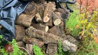 LRG PILE OF ASH FIREWOOD - 9