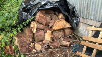 VERY LRG PILE OF CONIFER LOGS (VERY DRY)