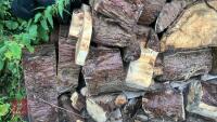 VERY LRG PILE OF CONIFER LOGS (VERY DRY) - 3