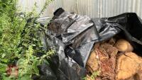 VERY LRG PILE OF CONIFER LOGS (VERY DRY) - 7