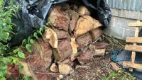 VERY LRG PILE OF CONIFER LOGS (VERY DRY) - 8