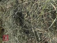 5 ROUND BALES OF 2026 1ST CUT HAY - BIDS PER BALE - 2