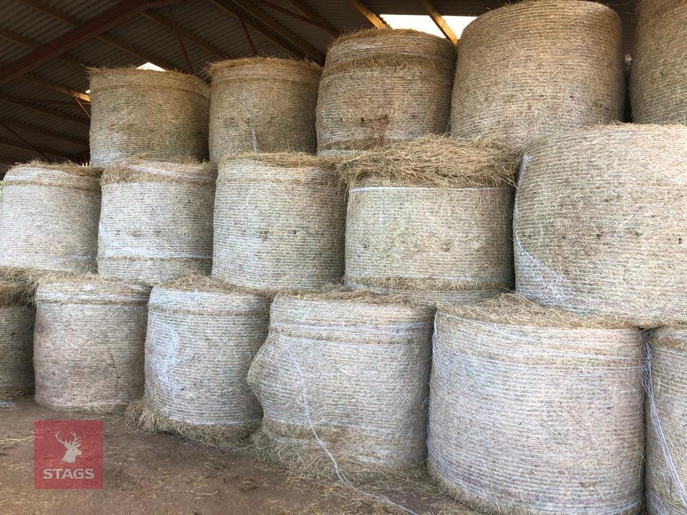 5 ROUND BALES OF 2026 1ST CUT HAY - BIDS PER BALE