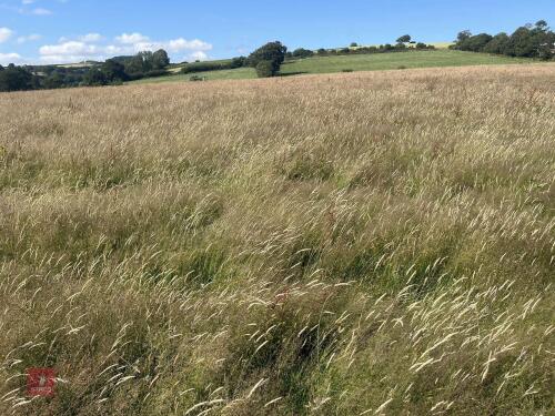 100 ROUND BALES OF 2026 HAY - BIDS PER BALE
