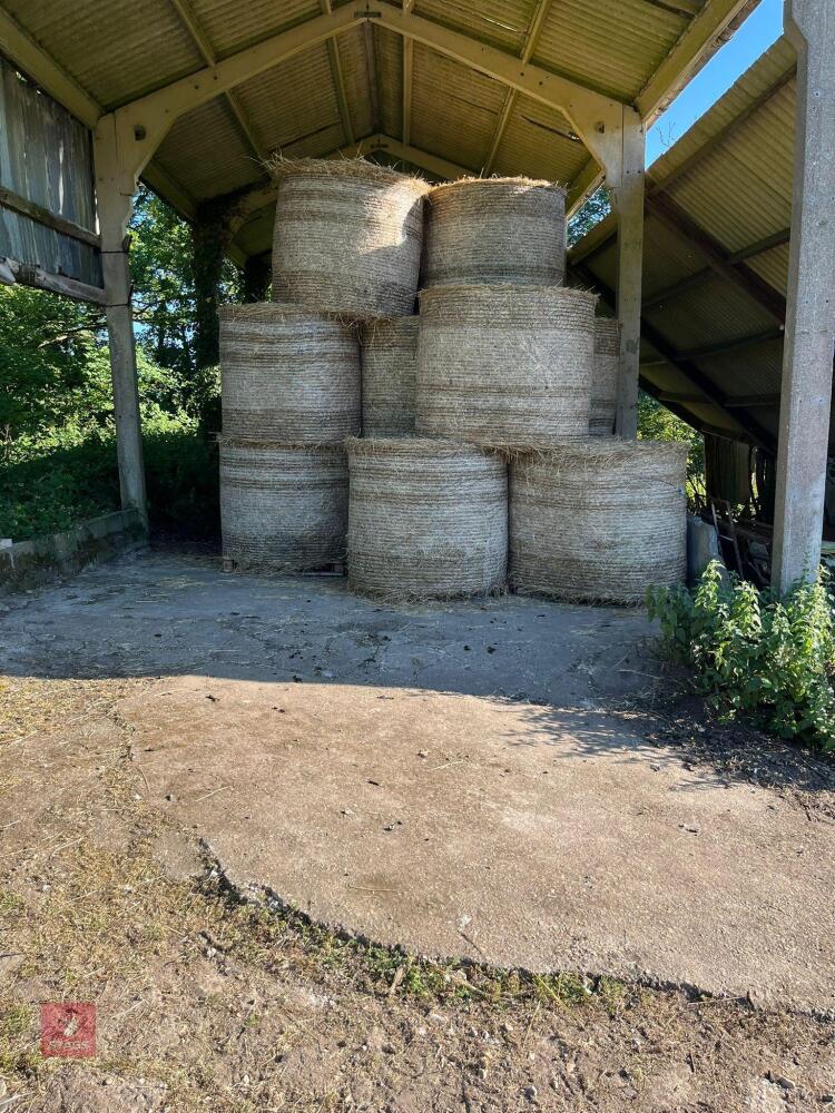 30 ROUND BALES OF 2026 HAY - BIDS PER BALE