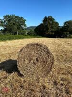 30 ROUND BALES OF 2026 HAY - BIDS PER BALE - 2