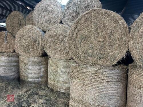 30 ROUND BALES OF 2026 HAY - BIDS PER BALE