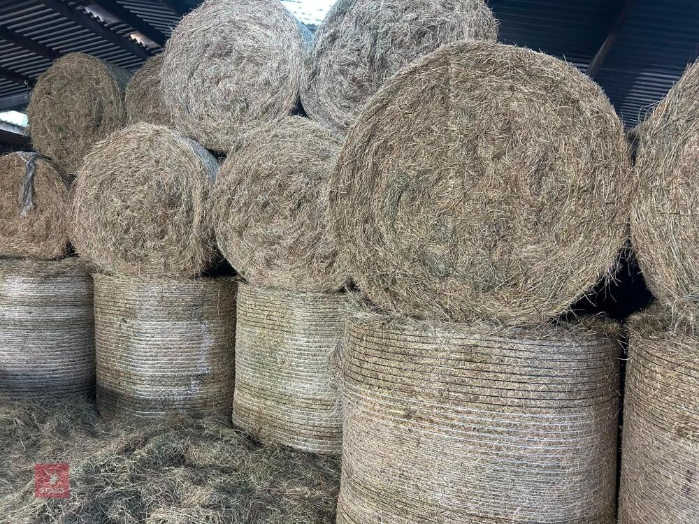 25 ROUND BALES OF 2026 HAY - BIDS PER BALE
