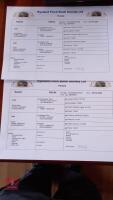 2 X 1YO PEDIGREE RYELAND EWES - BIDS PER LIFE - 8