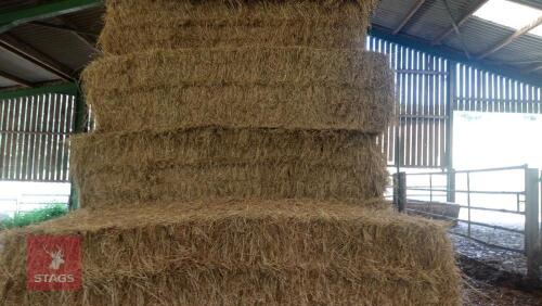 9 SQUARE BALES OF 2026 HAY - BIDS PER BALE