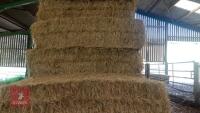 9 SQUARE BALES OF 2026 HAY - BIDS PER BALE