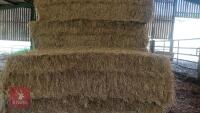9 SQUARE BALES OF 2026 HAY - BIDS PER BALE - 2