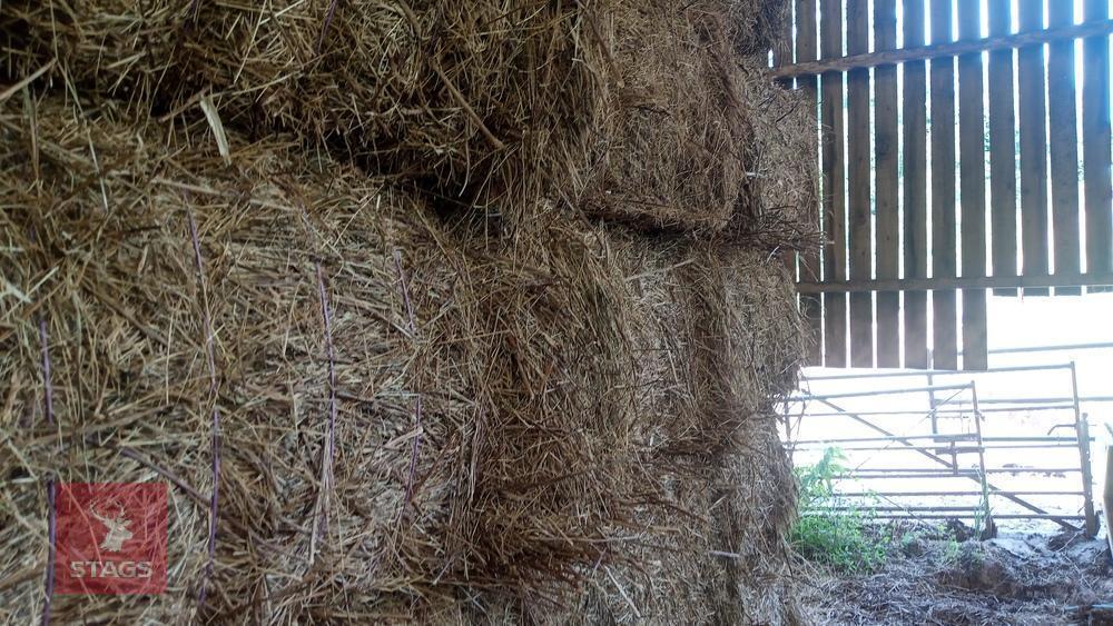 21 SQUARE BALES OF 2026 HERB HAY - BIDS PER BALE