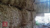 21 SQUARE BALES OF 2026 HERB HAY - BIDS PER BALE