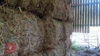 21 SQUARE BALES OF 2026 HERB HAY - BIDS PER BALE - 2