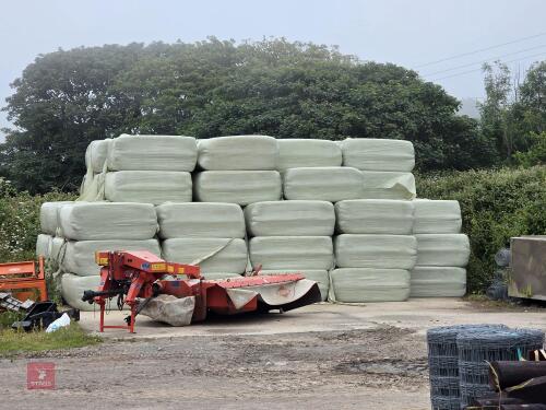 30 6 STRING SQUARE BALES OF 2026 HAYLAGE - BIDS PER BALE