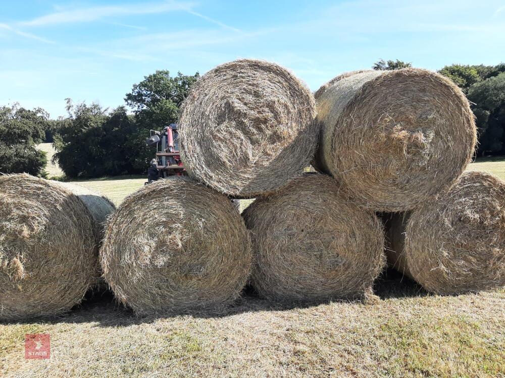 30 ROUND BALES OF 2026 HAY - BIDS PER BALE
