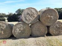 30 ROUND BALES OF 2026 HAY - BIDS PER BALE