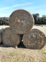 30 ROUND BALES OF 2026 HAY - BIDS PER BALE - 2