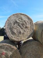 30 ROUND BALES OF 2026 HAY - BIDS PER BALE - 3