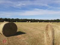 30 ROUND BALES OF 2026 HAY - BIDS PER BALE - 5