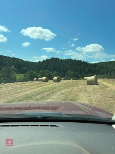 30 ROUND BALES OF 2026 HAY - BIDS PER BALE