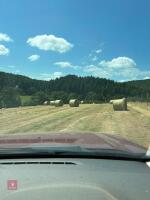 30 ROUND BALES OF 2026 HAY - BIDS PER BALE