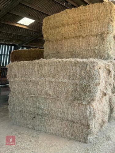 40 SQUARE BALES OF 2026 MEADOW HAY - BIDS PER BALE