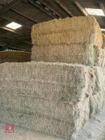 40 SQUARE BALES OF 2026 MEADOW HAY - BIDS PER BALE - 2
