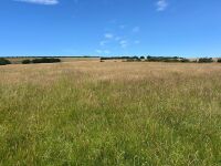 40 ACRES OF GRASS FOR MOWING - BIDS PER ACRE