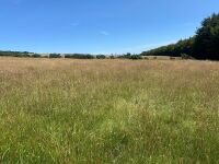40 ACRES OF GRASS FOR MOWING - BIDS PER ACRE - 3
