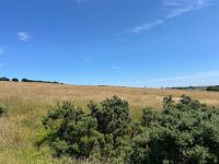 40 ACRES OF GRASS FOR MOWING - BIDS PER ACRE - 6