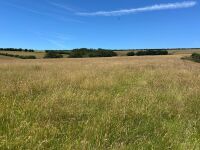 40 ACRES OF GRASS FOR MOWING - BIDS PER ACRE - 7