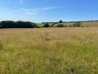 40 ACRES OF GRASS FOR MOWING - BIDS PER ACRE - 11