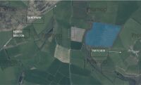40 ACRES OF GRASS FOR MOWING - BIDS PER ACRE - 13