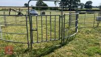 CATTLE HANDLING RING/YARD - 2