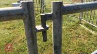 CATTLE HANDLING RING/YARD - 4