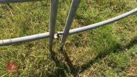 CATTLE HANDLING RING/YARD - 5