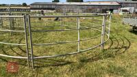CATTLE HANDLING RING/YARD - 6