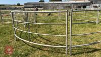 CATTLE HANDLING RING/YARD - 7